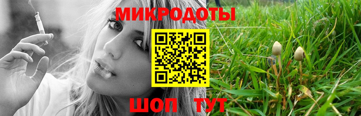 закладки  Вход с VPN  Россия  Псилоцибиновые грибы MAGIC MUSHROOMS 