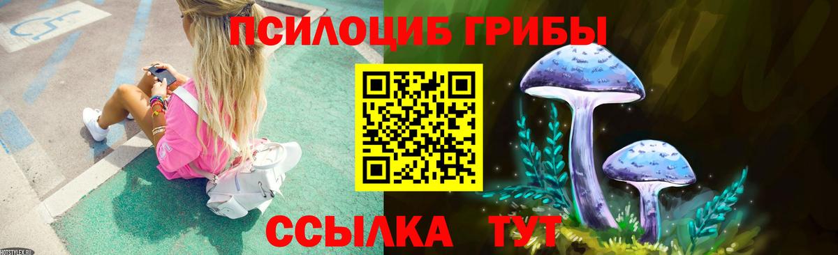 Псилоцибиновые грибы ЛСД Россия